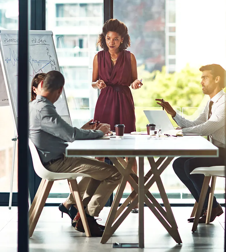 Consultant presenting to a business team
